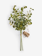 Light Up Green Artificial Eucylptus (3 Stems) - Image 1 of 2