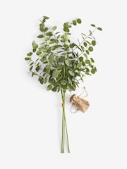 Light Up Green Artificial Eucylptus (3 Stems) - Image 2 of 2