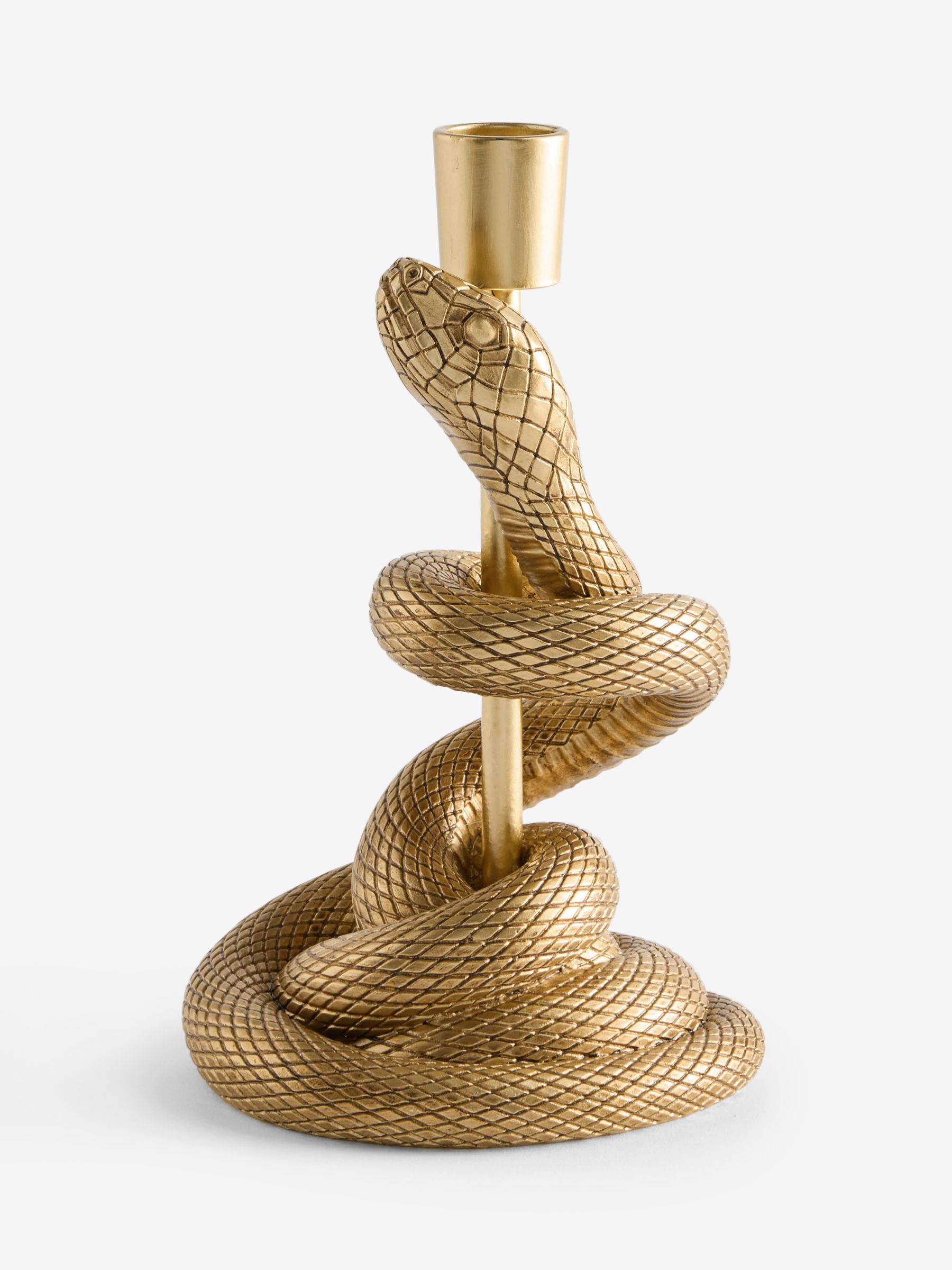 Baby Pythem Buy Gold Snake Taper Candle Stick from Next USA