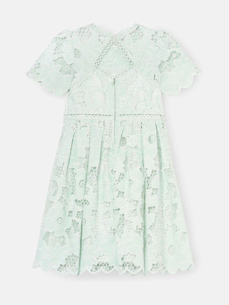 chinese dress ladies Ella Dress in Mint Lace  BATSHEVA