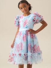 Angel & Rocket Blue Florence Blush Ruffle Sleeve Mesh Dress - Image 1 of 8