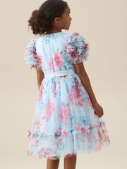 Angel & Rocket Blue Florence Blush Ruffle Sleeve Mesh Dress - Image 2 of 8