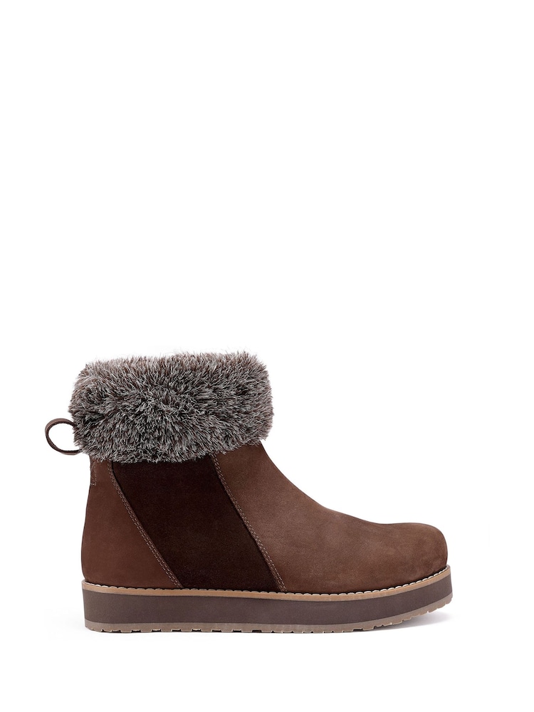 Hotter Brown Regular Fit Frida Zip Boots - Image 1 of 4 Hotter Brown Regular Fit Frida Zip Boots - Image 1 of 4