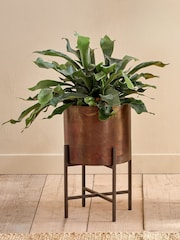 Nkuku Antique Brass Juoni Iron Planter - Image 1 of 2