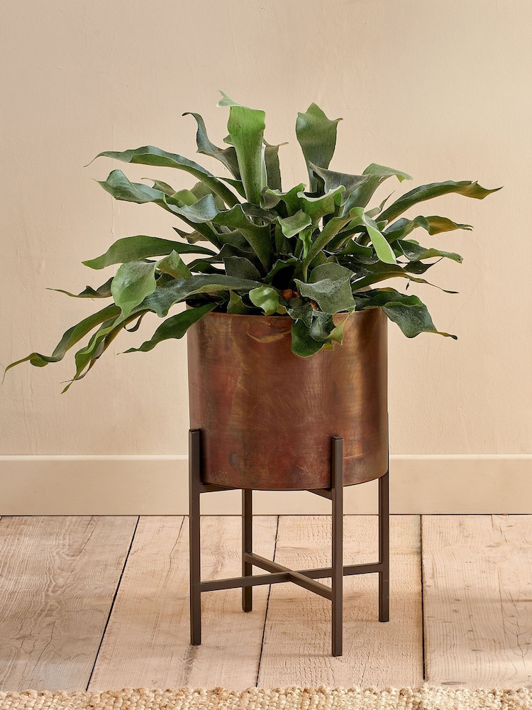 Nkuku Antique Brass Juoni Iron Planter - Image 1 of 2 Nkuku Antique Brass Juoni Iron Planter - Image 1 of 2