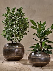 Nkuku Aged Black Endo Iron Hanging Planter - Image 1 of 2