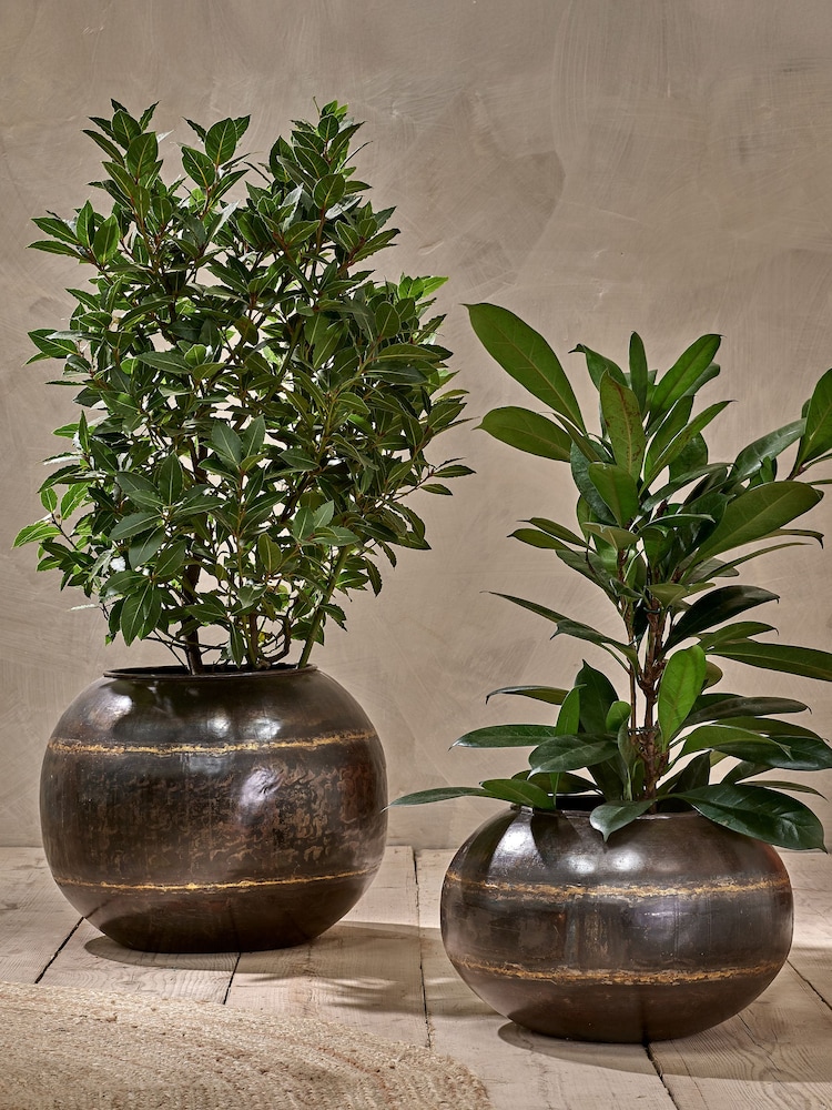 Nkuku Aged Black Endo Iron Hanging Planter - Image 1 of 2