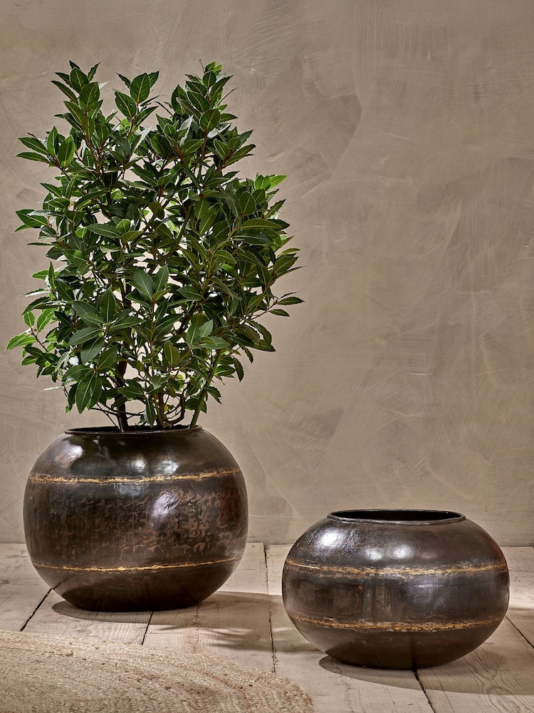 Nkuku Aged Black Endo Iron Hanging Planter - Image 2 of 2