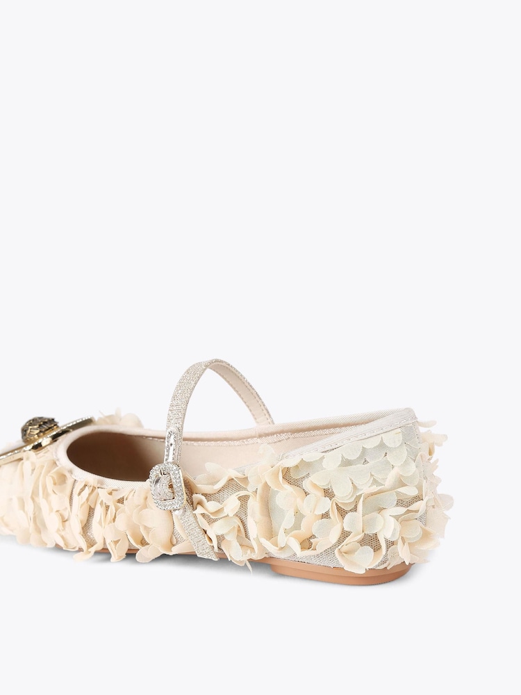 Kurt Geiger London Pimlico Ballerina Brown Pumps - Image 2 of 4 Kurt Geiger London Pimlico Ballerina Brown Pumps - Image 2 of 4