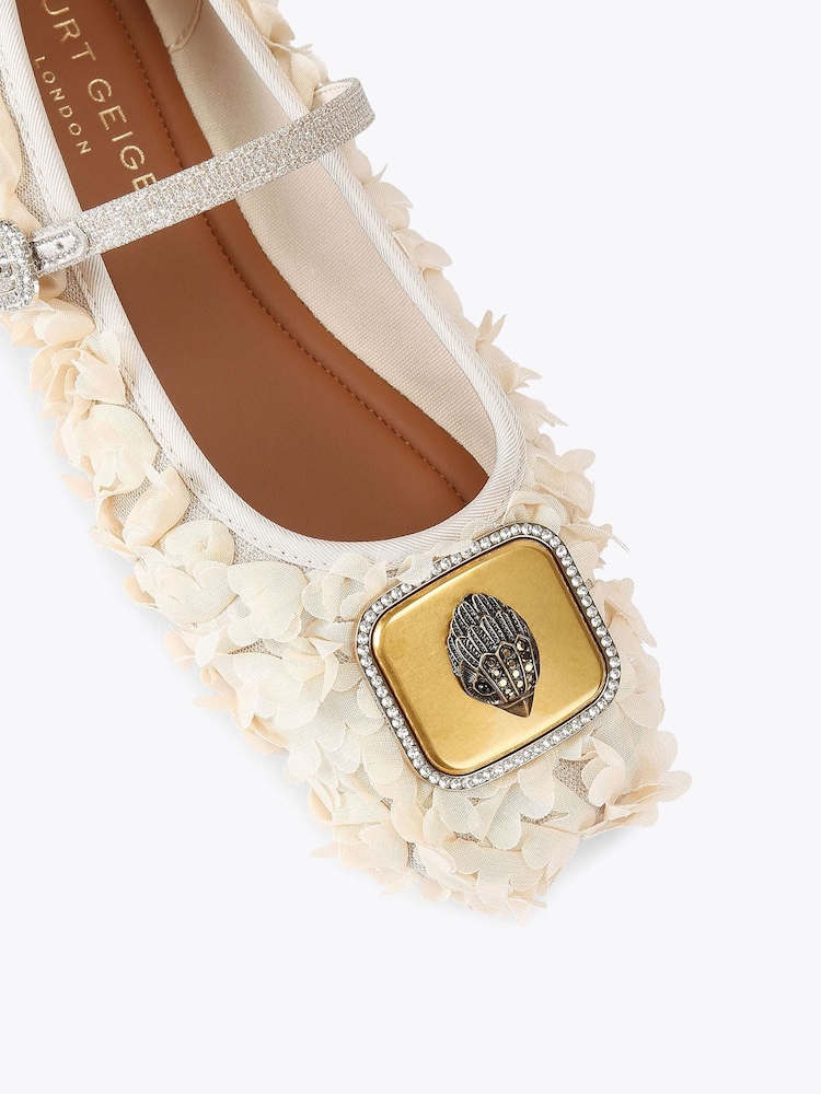 Kurt Geiger London Pimlico Ballerina Brown Pumps - Image 4 of 4 Kurt Geiger London Pimlico Ballerina Brown Pumps - Image 4 of 4