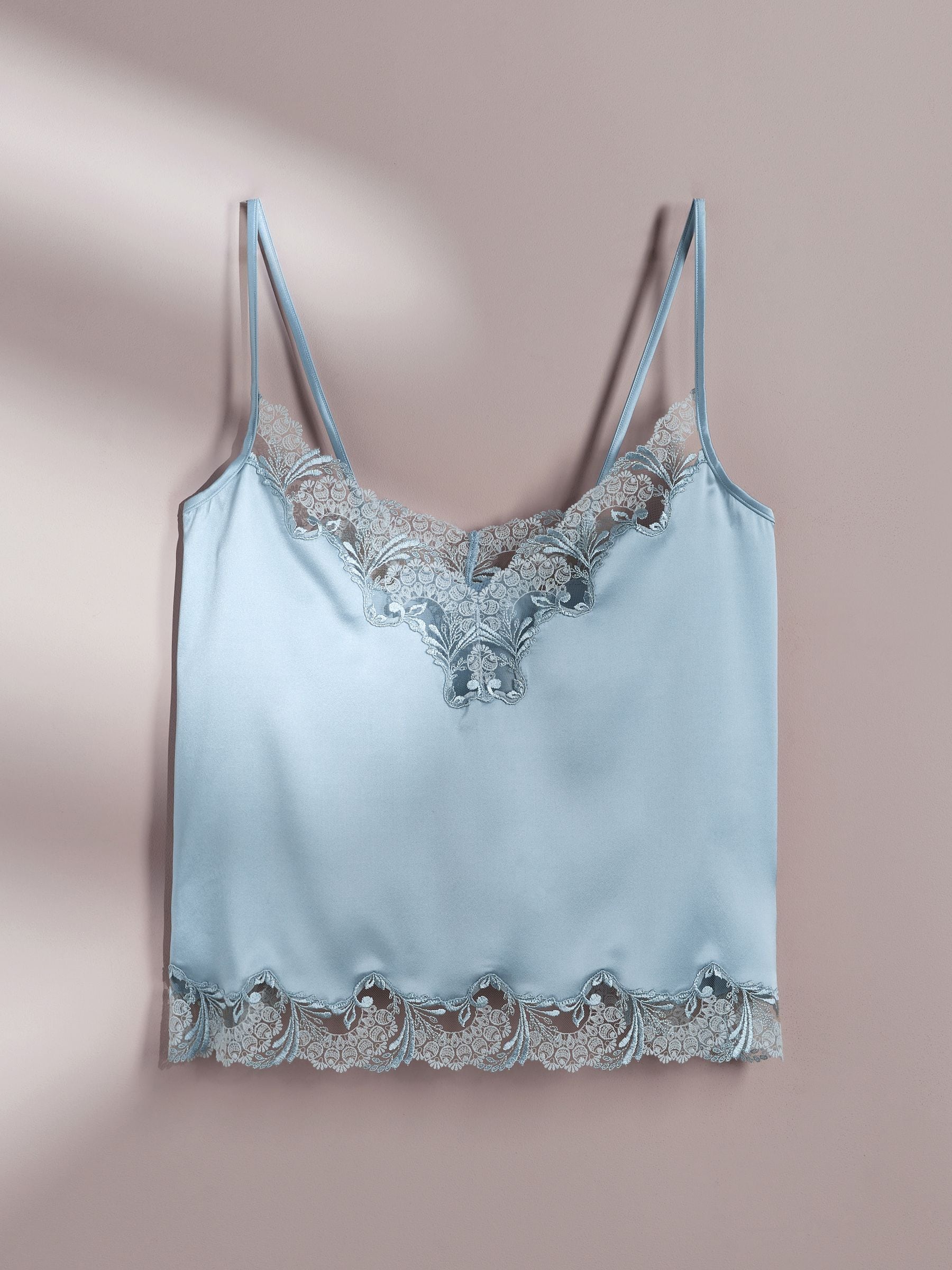 Buy AIYLA Blue Swiss Designed Embroidered Silk Camisole from Next
