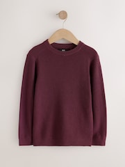 Plum Purple Without Stag Cotton Crew Neck Knitted Jumper (3-16yrs) - Image 1 of 4