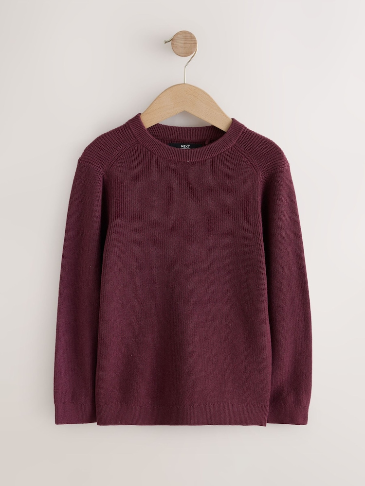Plum Purple Without Stag Cotton Crew Neck Knitted Jumper (3-16yrs) - Image 1 of 4