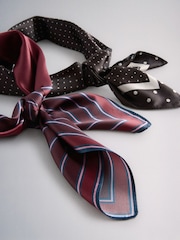 The Set 2 Pack Satin Neck Scarfs - Obraz 8 z 10