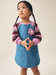 Purple Stripe Raglan Denim Dress (3mths-8yrs) - Image 1 of 7