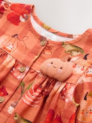 Orange Autumn Print Long Sleeve 3D Character Dress (3mths-8yrs) - Image 7 of 8