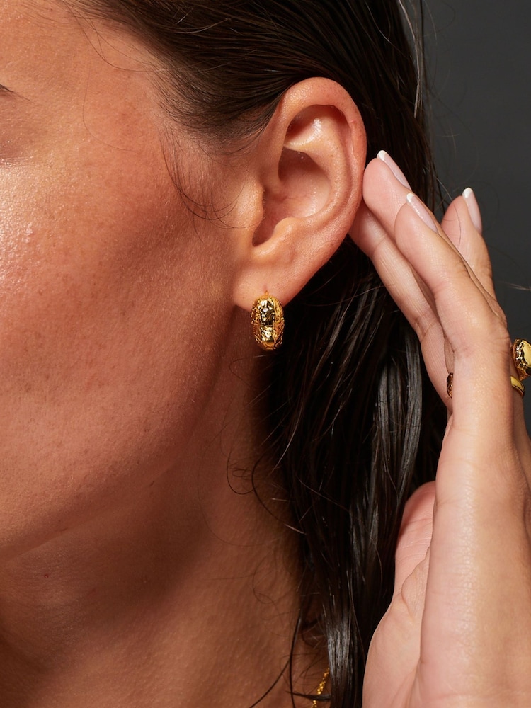 Hot Diamonds Gold Tone HD X GE Muse Earrings - Image 2 of 3 Hot Diamonds Gold Tone HD X GE Muse Earrings - Image 2 of 3