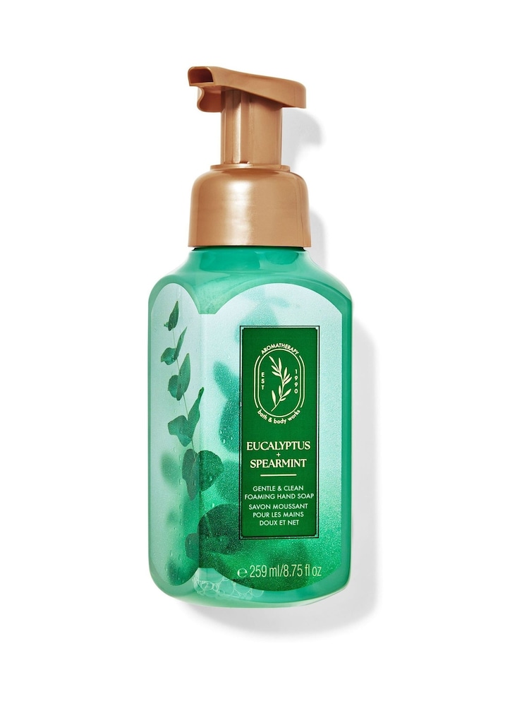 Bath & Body Works Gentle & Clean Foaming Hand Soap 259ml - Image 1 of 1
