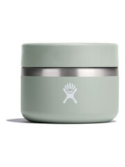 Hydro Flask Agave Insulated Food Jar 12oz - Image 1 of 4