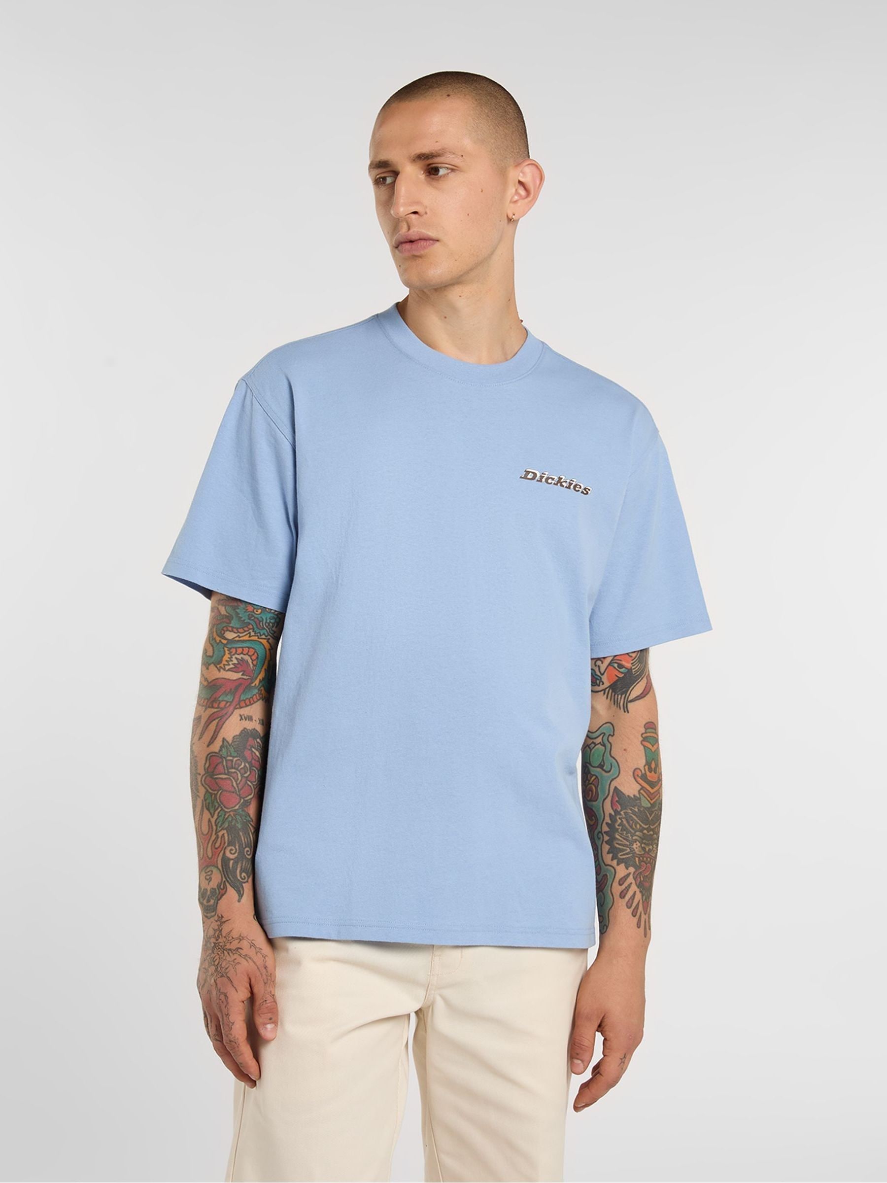 Satın al Dickies Thornville Arka Grafik Baskılı Rahat Kesim Tişört