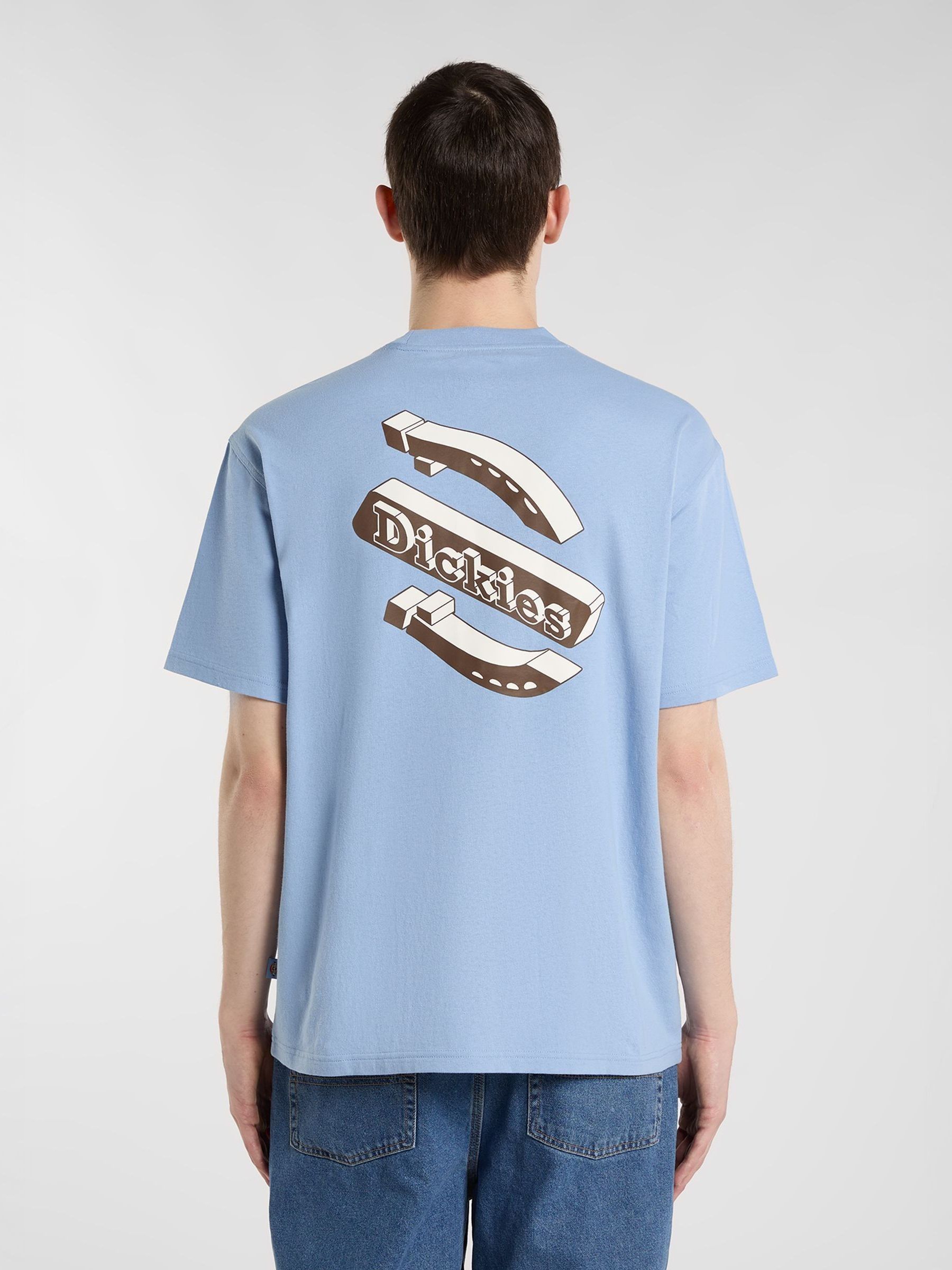 Buy Dickies Blue Thornville Back Graphic Relaxed Fit T-Shirt from