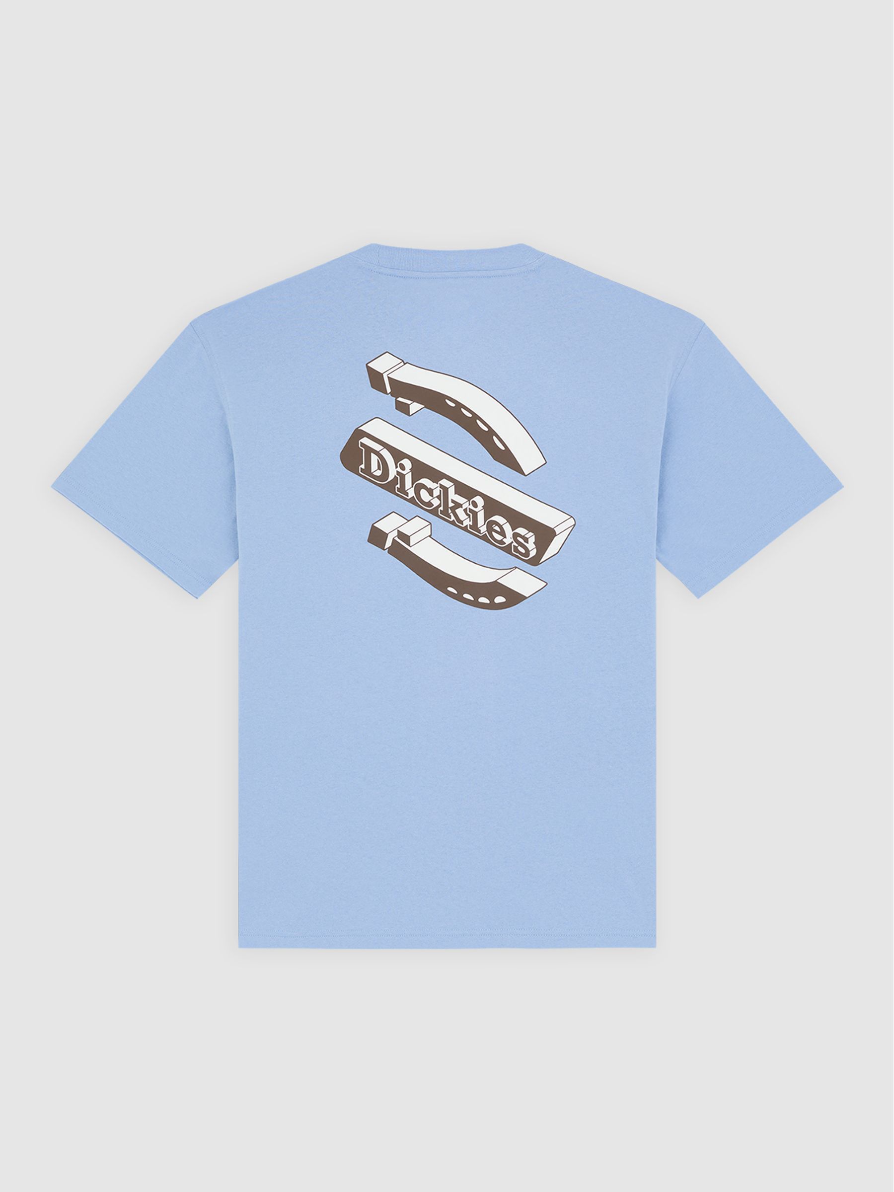 Buy Dickies Blue Thornville Back Graphic Relaxed Fit T-Shirt from