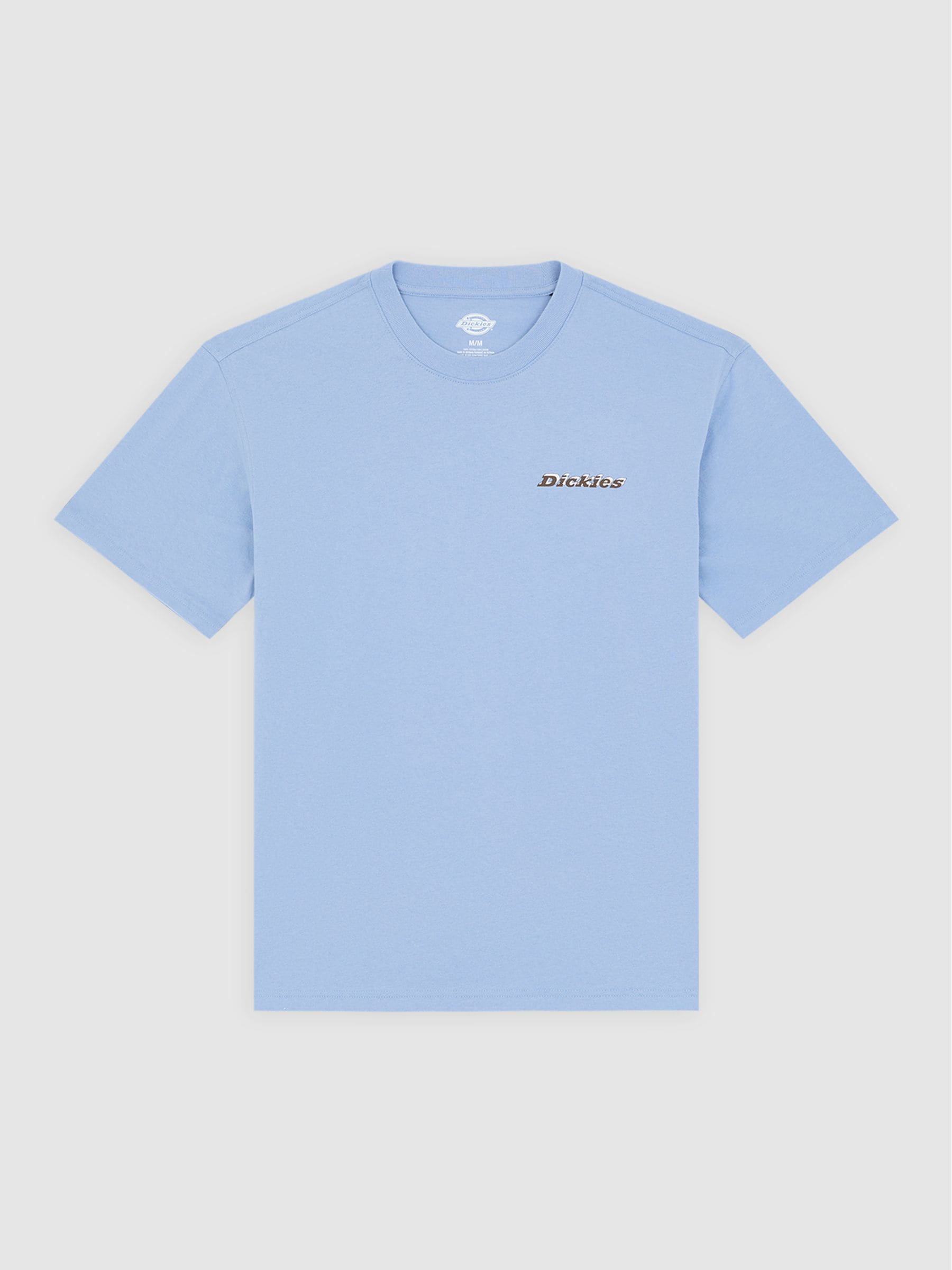 Buy Dickies Blue Thornville Back Graphic Relaxed Fit T-Shirt from