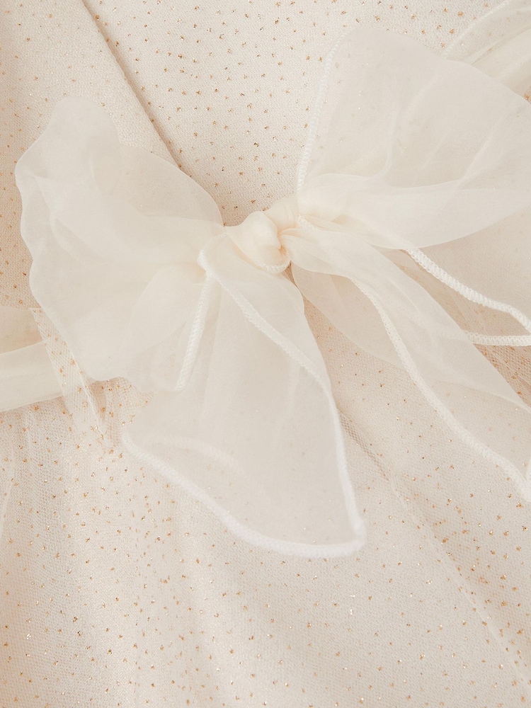 Monsoon Baby Principesa Appliqué Rose Sparkle Kjoler - Bilde 4 av 4