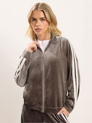PixieGirl Petite Brown Velour Stripe Jacket - Image 1 of 6