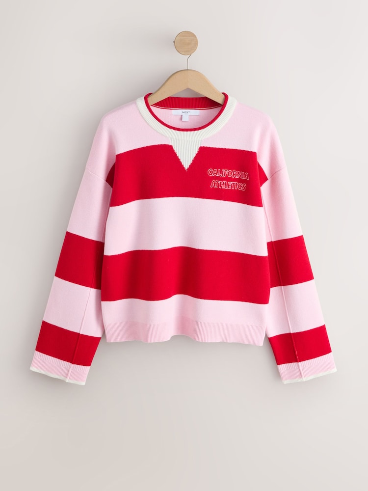 Red/Pink Stripe Long Sleeve Crew Neck Sweatshirt - Image 1 of 3