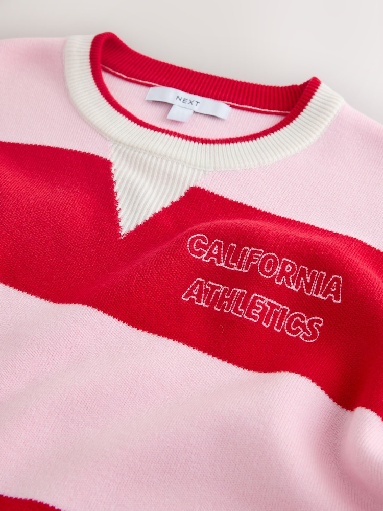 Red/Pink Stripe Long Sleeve Crew Neck Sweatshirt - Image 2 of 3