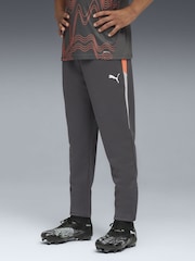 Puma Grey Individual LIGA Training Trousers - Image 1 of 6