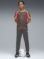 Puma Grey Individual LIGA Training Trousers - Image 3 of 6
