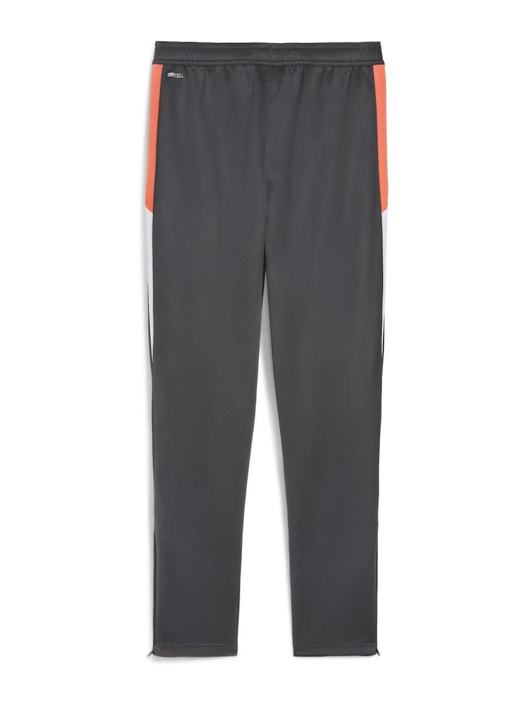 Puma Grey Individual LIGA Training Trousers - Image 6 of 6