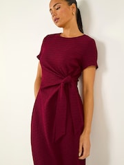 Roman Red Petite Textured Tie Side Dress - Image 1 of 5