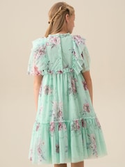 Angel & Rocket Green Rosa Floral Mesh Dress - Image 3 of 8