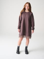 Dunkelbraun - smALLSAINTS Lee Lace Sweatkleid - Bild 1 von 11