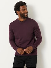 بنفسجي برقوقي - FatFace Malton Merino Crew Neck Knitted Jumper - صورة 1 من 6