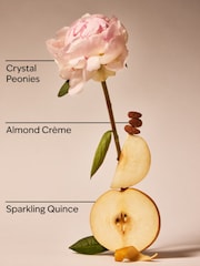 Bath & Body Works Sparkling Toast Gift Set (Worth £24) - Image 2 of 2