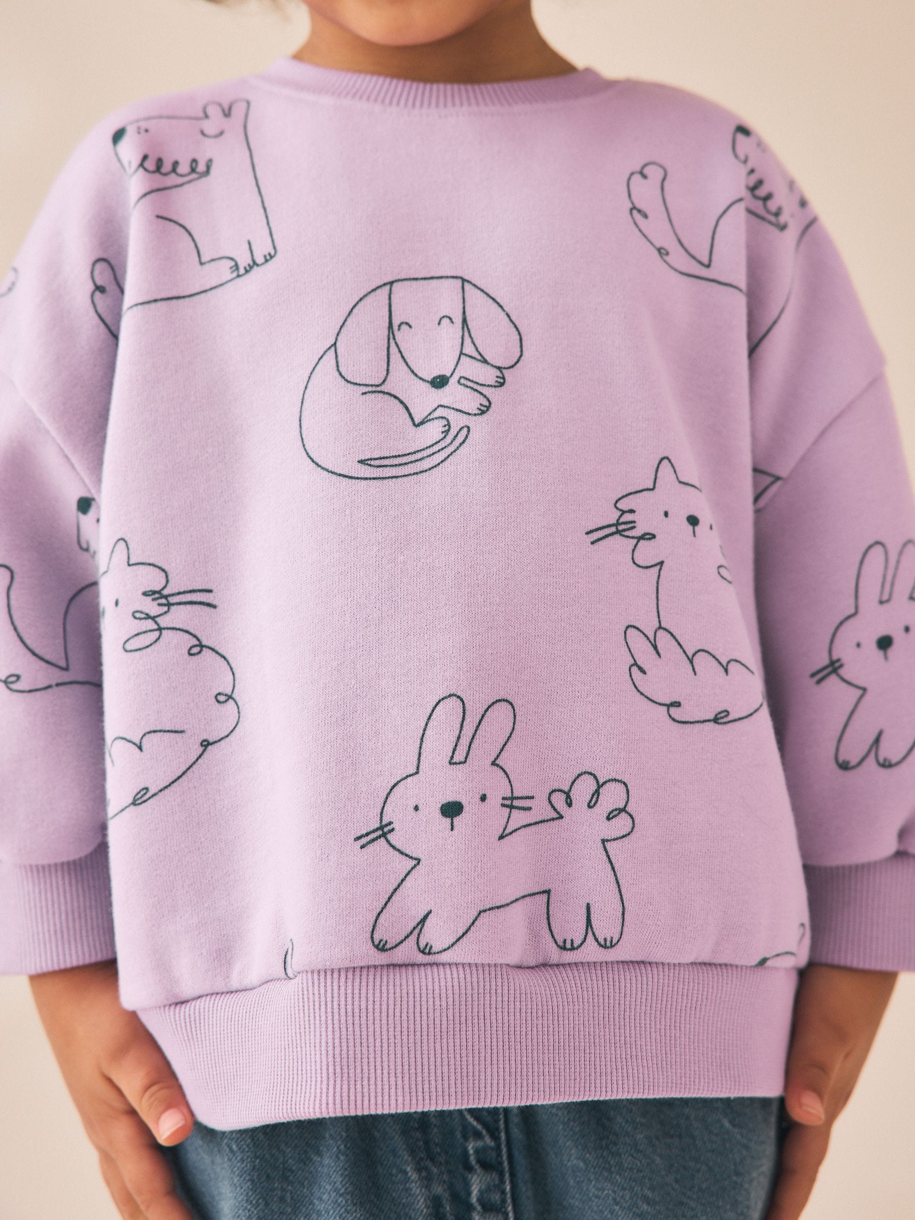 Buy Lilac Purple Bunny Crew Neck Sweatshirt (3mths-7yrs) from Next USA