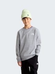 Gris - Sudadera The North Face Juvenil Evolution Simple Dome - Imagen 1 de 4