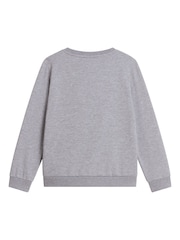 Gris - Sudadera The North Face Juvenil Evolution Simple Dome - Imagen 4 de 4