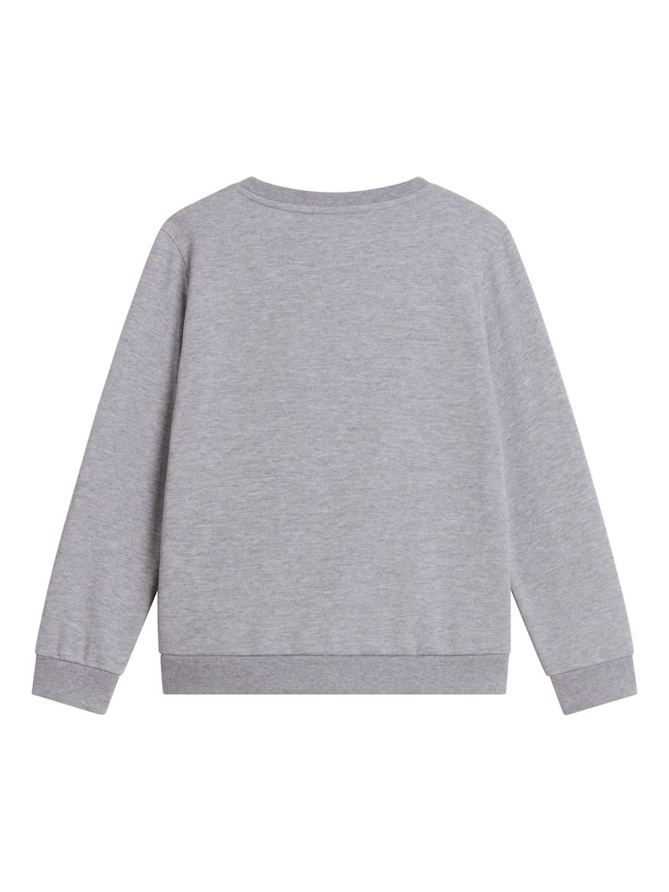 Gris - Sudadera The North Face Juvenil Evolution Simple Dome - Imagen 4 de 4