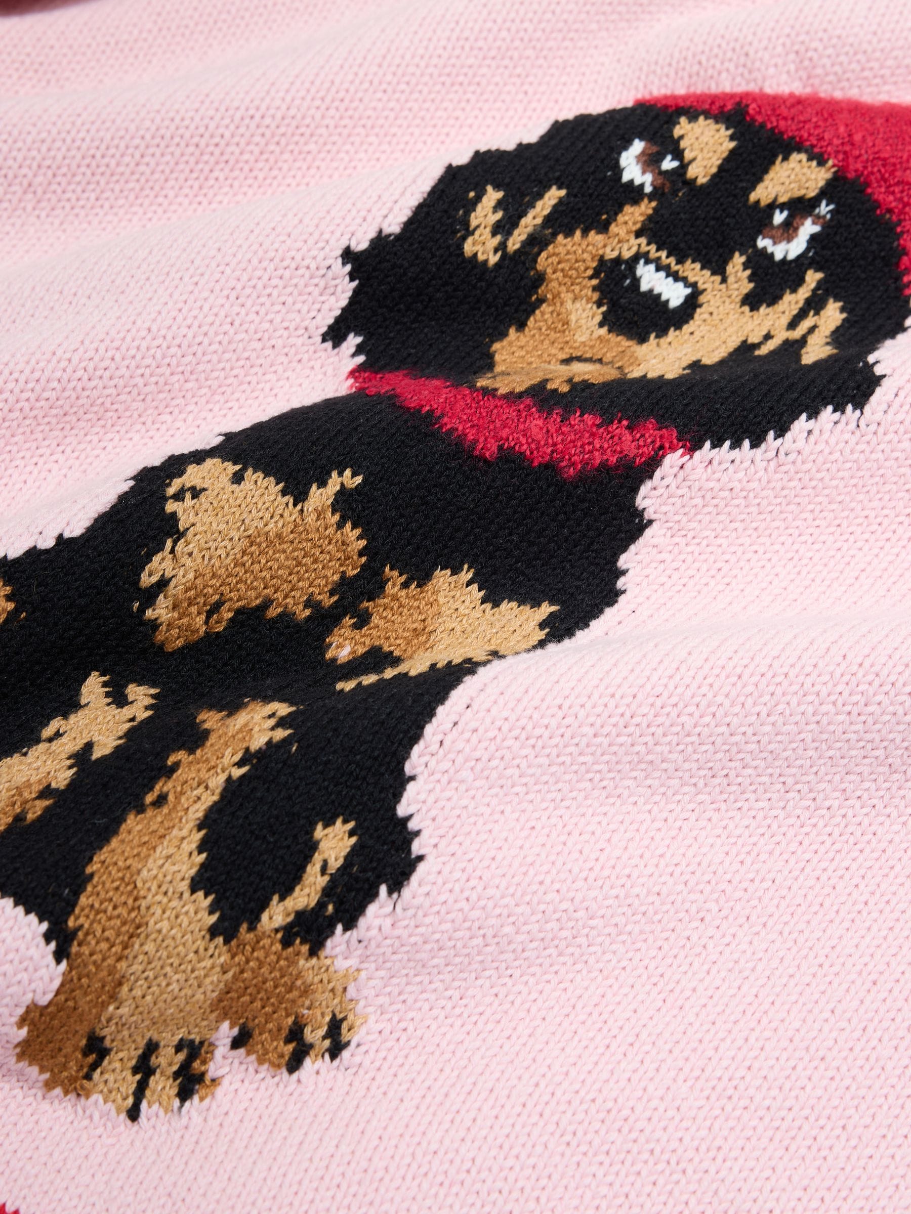 Buy Pink Dog Back Graphic Cotton Rich Collar Cardigan from Next USA