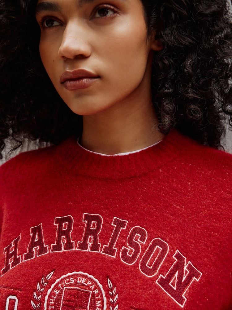 Red Collegiate Graphic Long Sleeve Crew Neck Knitted Jumper With Wool - Image 6 of 6