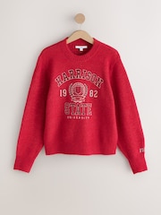 College-Grafik, Rot - Langarm-Strickpullover mit Rundhalsausschnitt und Wolle - Bild 7 von 9