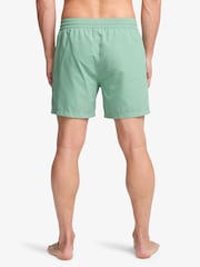 Billabong Green Foundation Graphic Logo Swim Shorts - Image 2 de 4