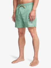 Billabong Green Foundation Graphic Logo Swim Shorts - Image 3 de 4