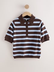Chocolate Brown/Blue Striped Knit Look Short Sleeve Polo Top - Image 7 of 9