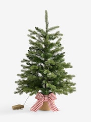 Green Nordmann Fir 3ft Pre Lit Christmas Tree - Image 6 of 7